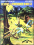 Beyond the Forbidden Forest